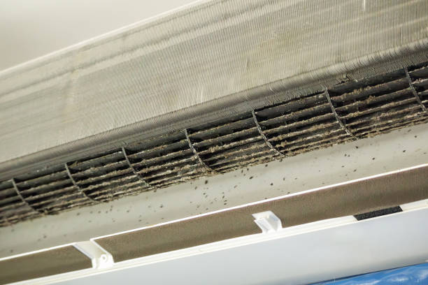 Best Air Vent Cleaning Services  in Bayside, WI